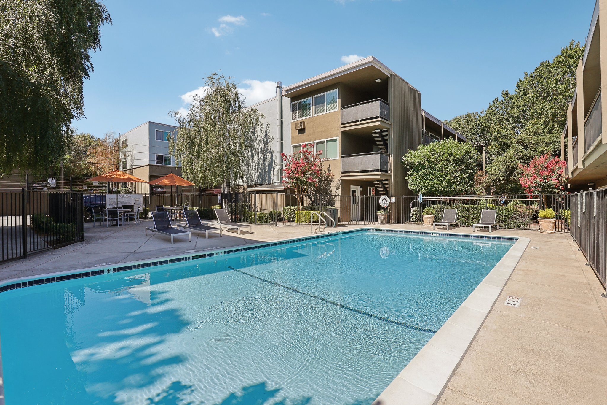 Carmel House photo 4